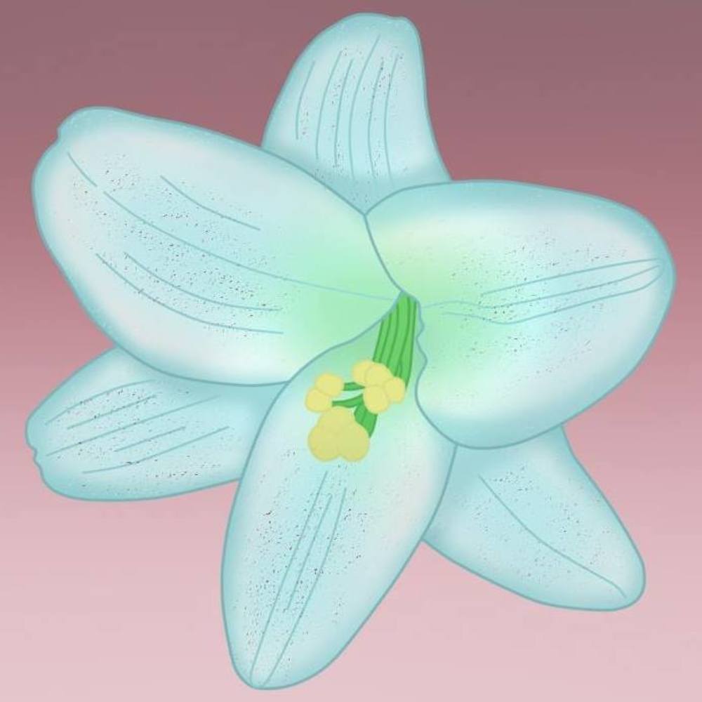 Meet your Posher, Deanna